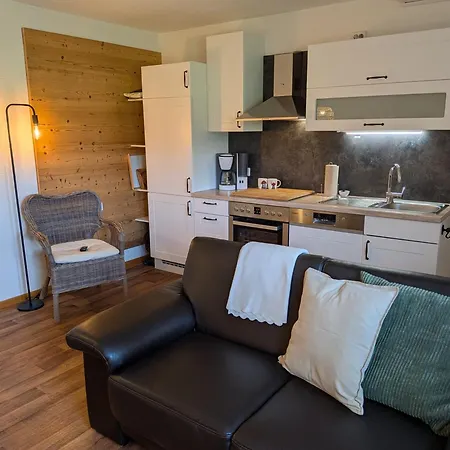 Ahorn Im Schwarzwald Apartment Zell am Harmersbach
